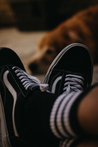 Betaalbare herensneakers 7